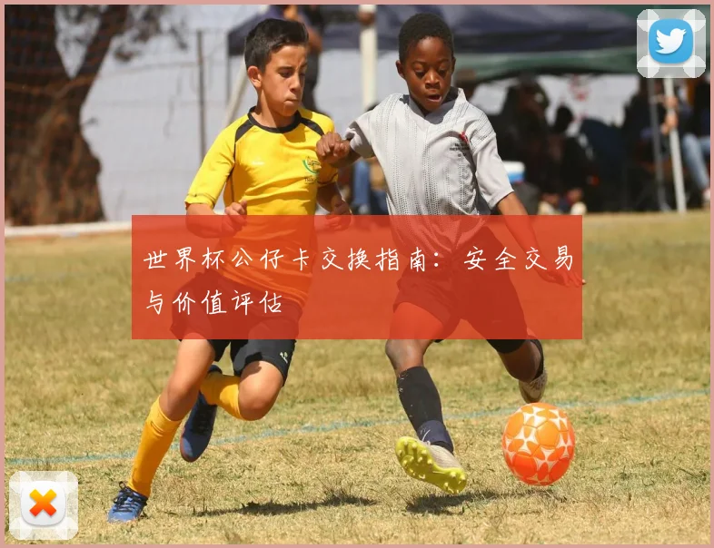 世界杯公仔卡交换指南:安全交易与价值评估