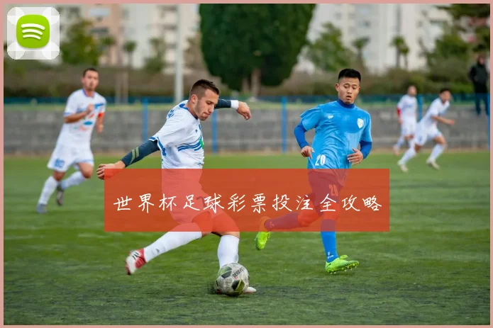 世界杯足球彩票投注全攻略