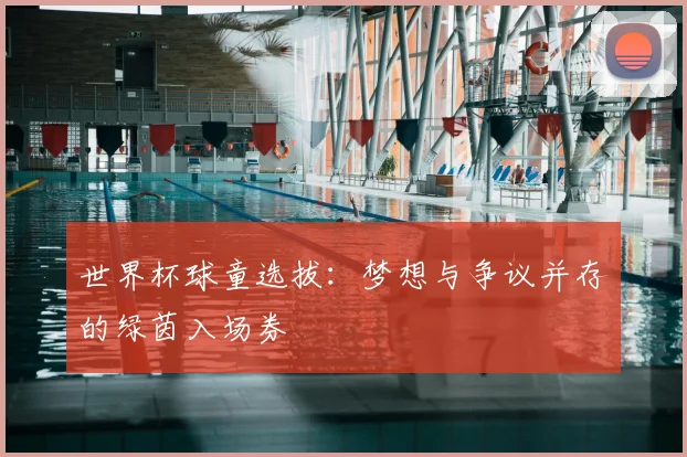 世界杯球童选拔:梦想与争议并存的绿茵入场券